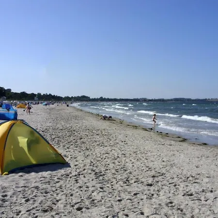 Sonnenblume * Hohen Wieschendorf