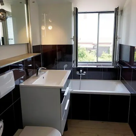 Sonnenblume Hohen Wieschendorf